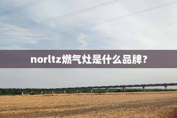 norltz燃气灶是什么品牌？