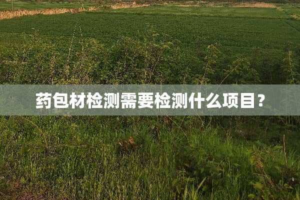 药包材检测需要检测什么项目？