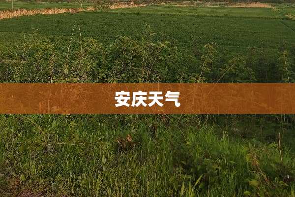 安庆天气