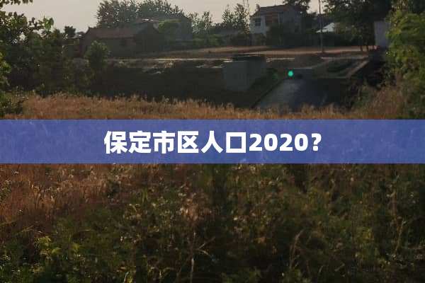 保定市区人口2020？