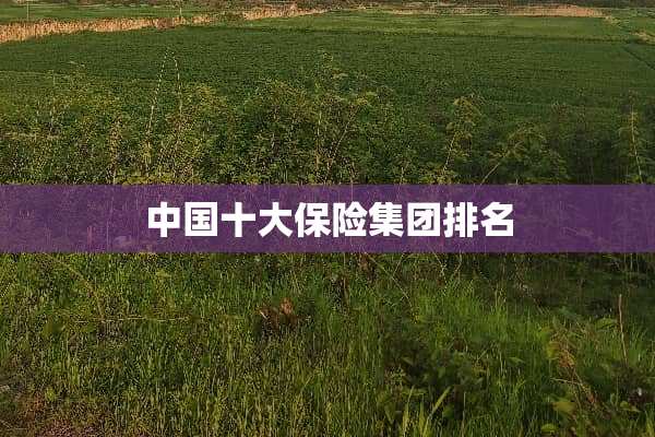 中国十大保险集团排名