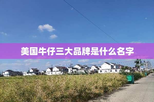 美国牛仔三大品牌是什么名字