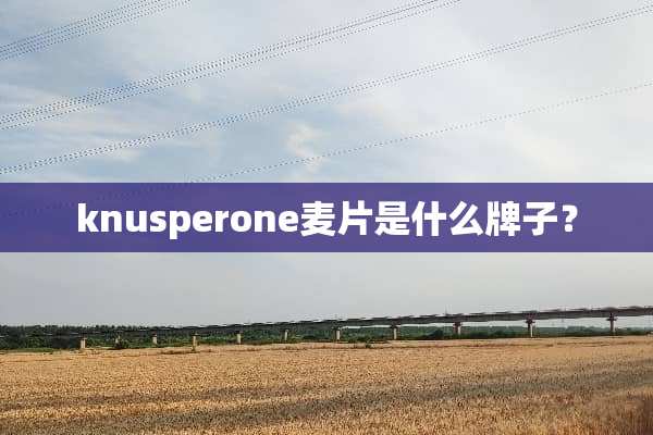 knusperone麦片是什么牌子？