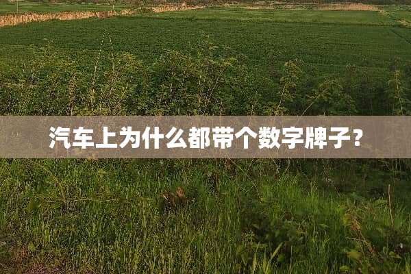 汽车上为什么都带个数字牌子？