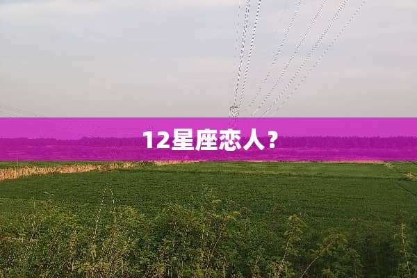 12星座恋人？