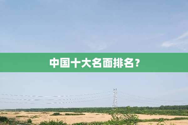 中国十大名面排名？