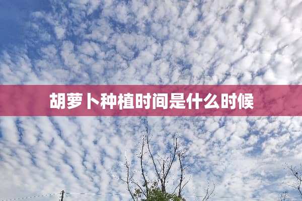 胡萝卜种植时间是什么时候