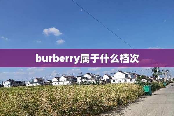 burberry属于什么档次