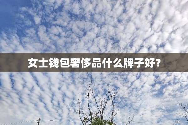 女士钱包奢侈品什么牌子好？