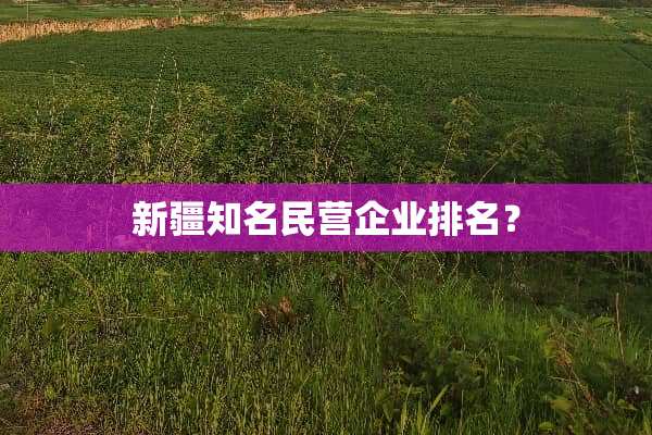 新疆知名民营企业排名？