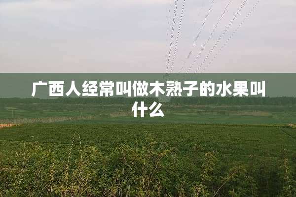 广西人经常叫做木熟子的水果叫什么