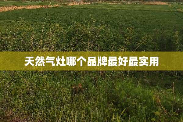 天然气灶哪个品牌最好最实用