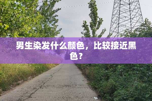 男生染发什么颜色，比较接近黑色？