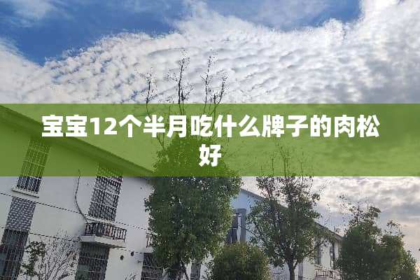 宝宝12个半月吃什么牌子的肉松好