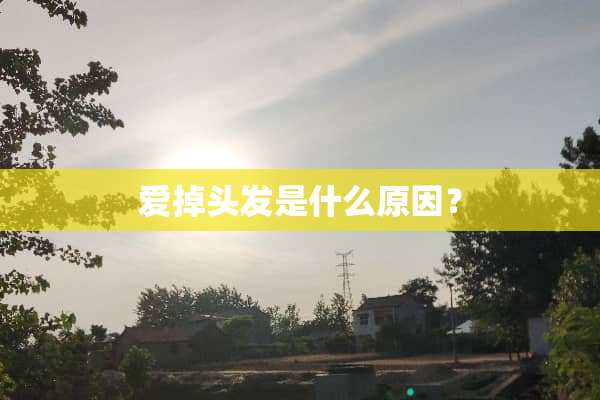 爱掉头发是什么原因？