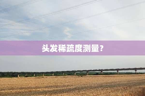 头发稀疏度测量？