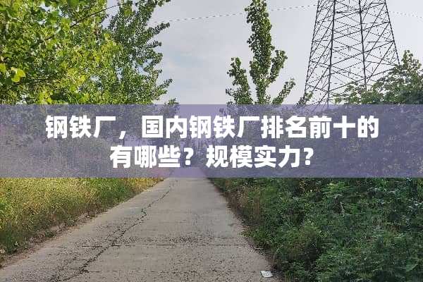钢铁厂，国内钢铁厂排名前十的有哪些？规模实力？