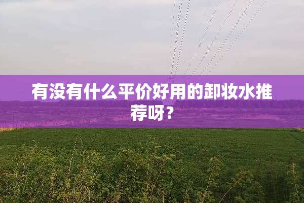 有没有什么平价好用的卸妆水推荐呀？