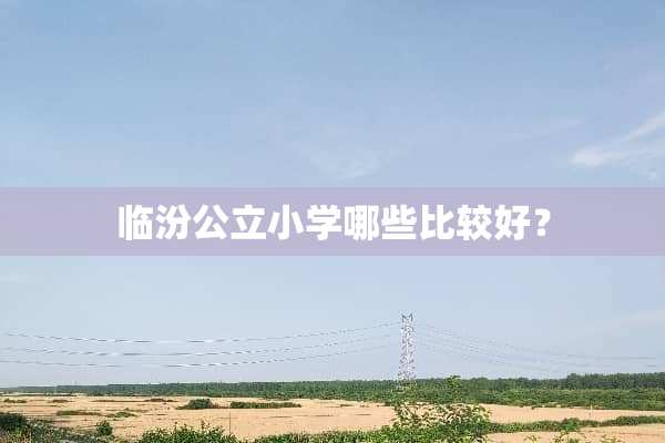 临汾公立小学哪些比较好？