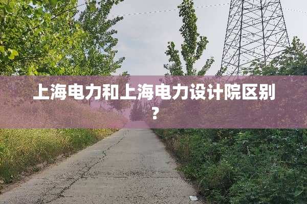 上海电力和上海电力设计院区别？