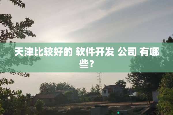 天津比较好的 软件开发 公司 有哪些？