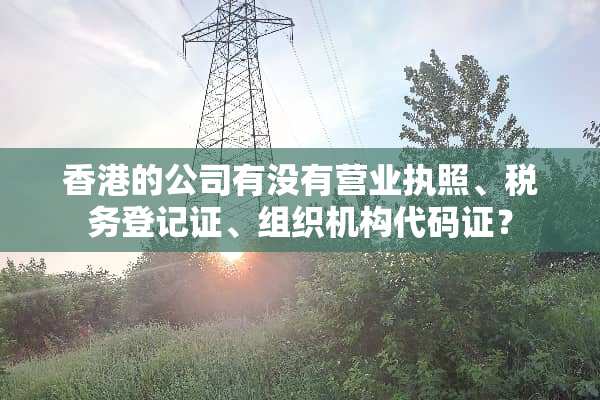 香港的公司有没有营业执照、税务登记证、组织机构代码证？