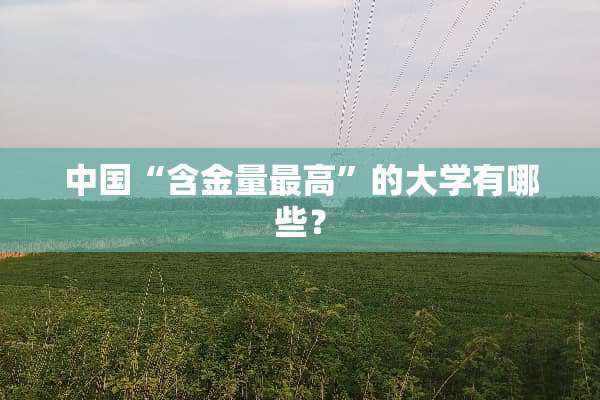 中国“含金量最高”的大学有哪些？