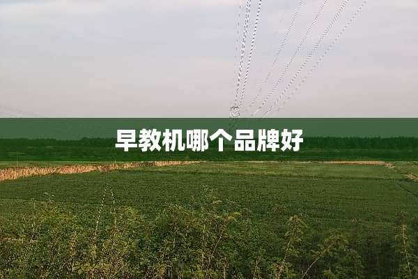 早教机哪个品牌好
