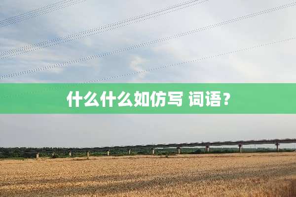 什么什么如仿写 词语？