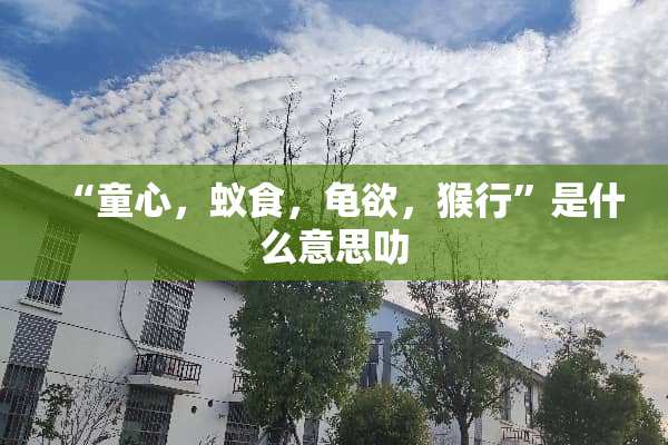 “童心，蚁食，龟欲，猴行”是什么意思叻