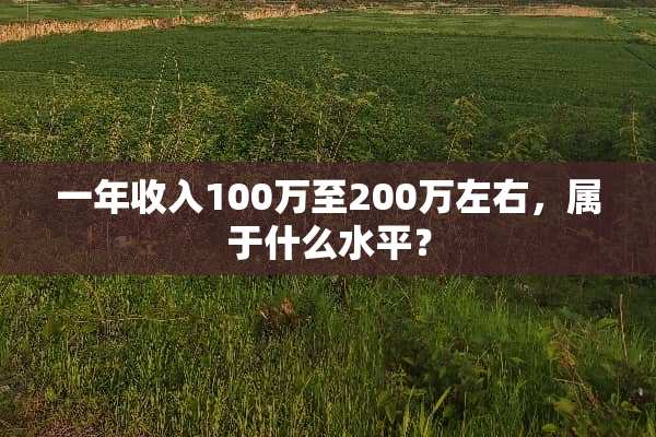 一年收入100万至200万左右，属于什么水平？
