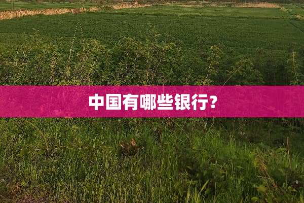 中国有哪些银行？