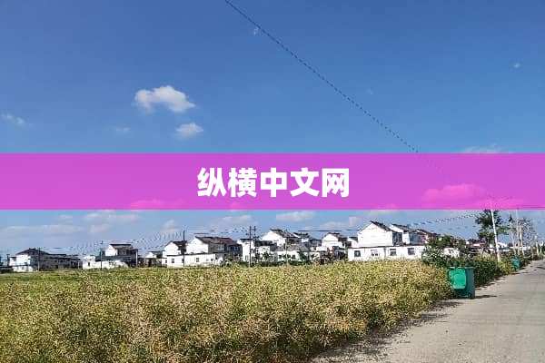 纵横中文网
