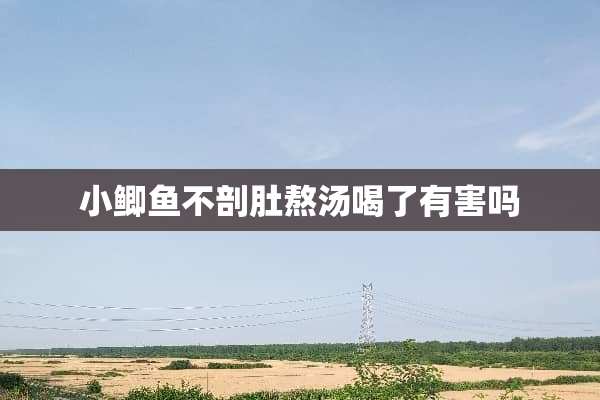 小鲫鱼不剖肚熬汤喝了有害吗