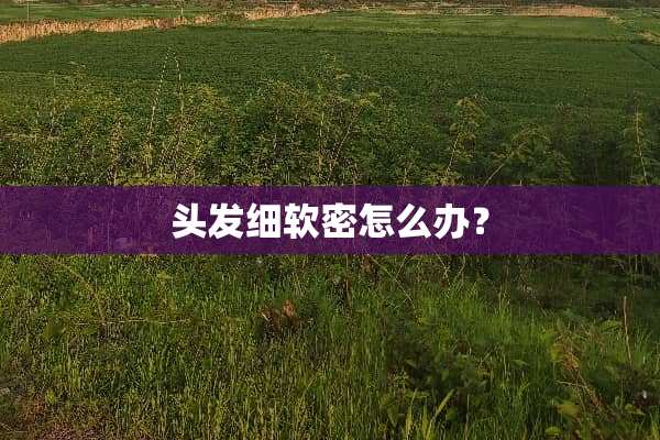 头发细软密怎么办？