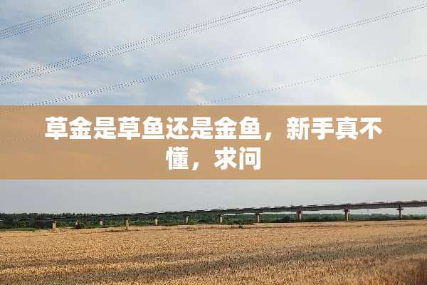 草金是草鱼还是金鱼，新手真不懂，求问
