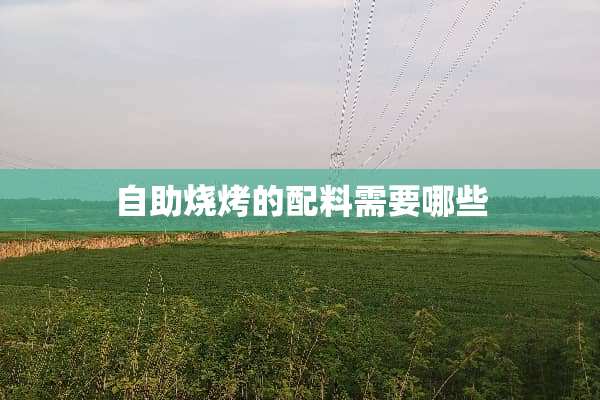 自助烧烤的配料需要哪些
