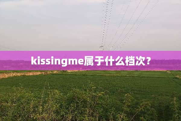 kissingme属于什么档次？