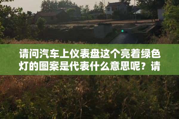 请问汽车上仪表盘这个亮着绿色灯的图案是代表什么意思呢？请教各位。