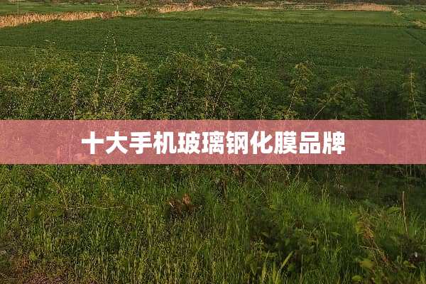 十大手机玻璃钢化膜品牌
