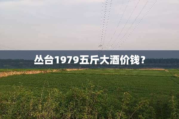 丛台1979五斤大酒价钱？
