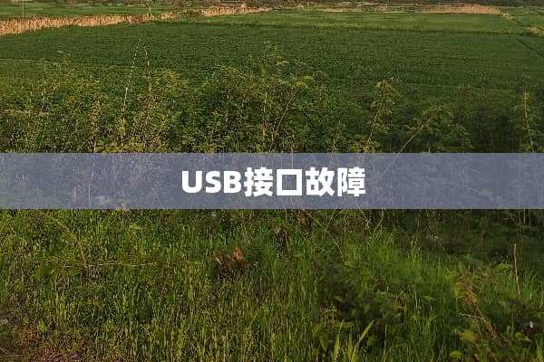USB接口故障