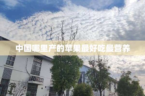 中国哪里产的苹果最好吃最营养