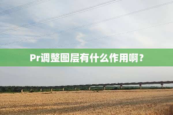 Pr调整图层有什么作用啊？