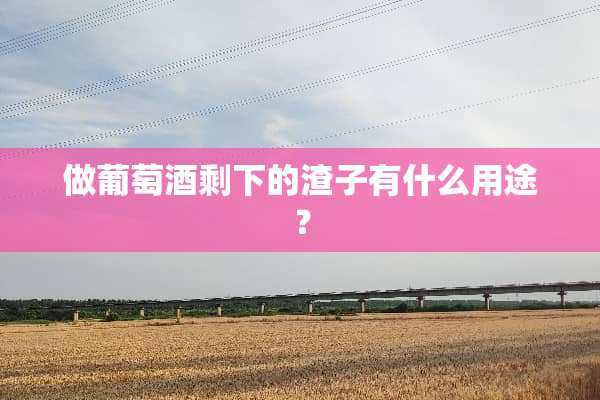 做葡萄酒剩下的渣子有什么用途？