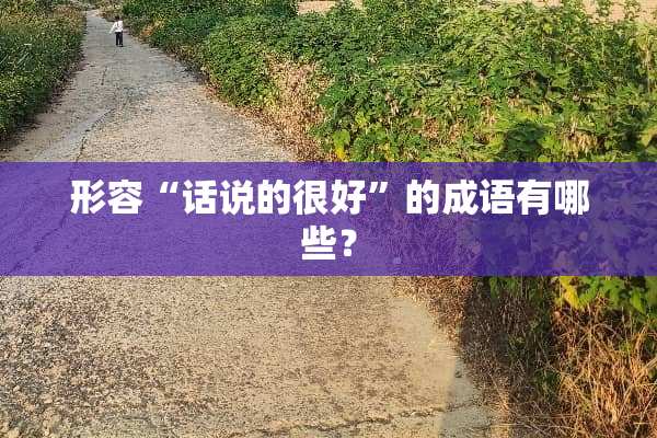 形容“话说的很好”的成语有哪些？