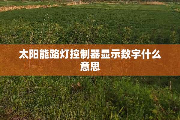 太阳能路灯***显示数字什么意思