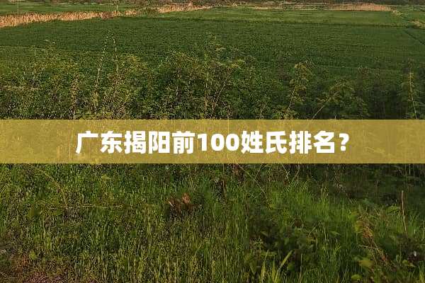 广东揭阳前100姓氏排名？