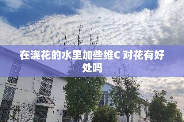 在浇花的水里加些维C 对花有好处吗
