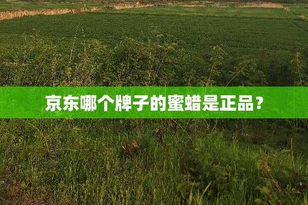 京东哪个牌子的蜜蜡是正品？